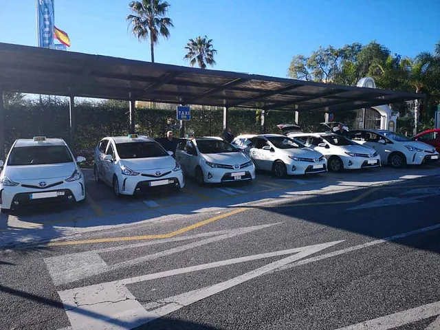 Radio Taxi Mijas vehículos